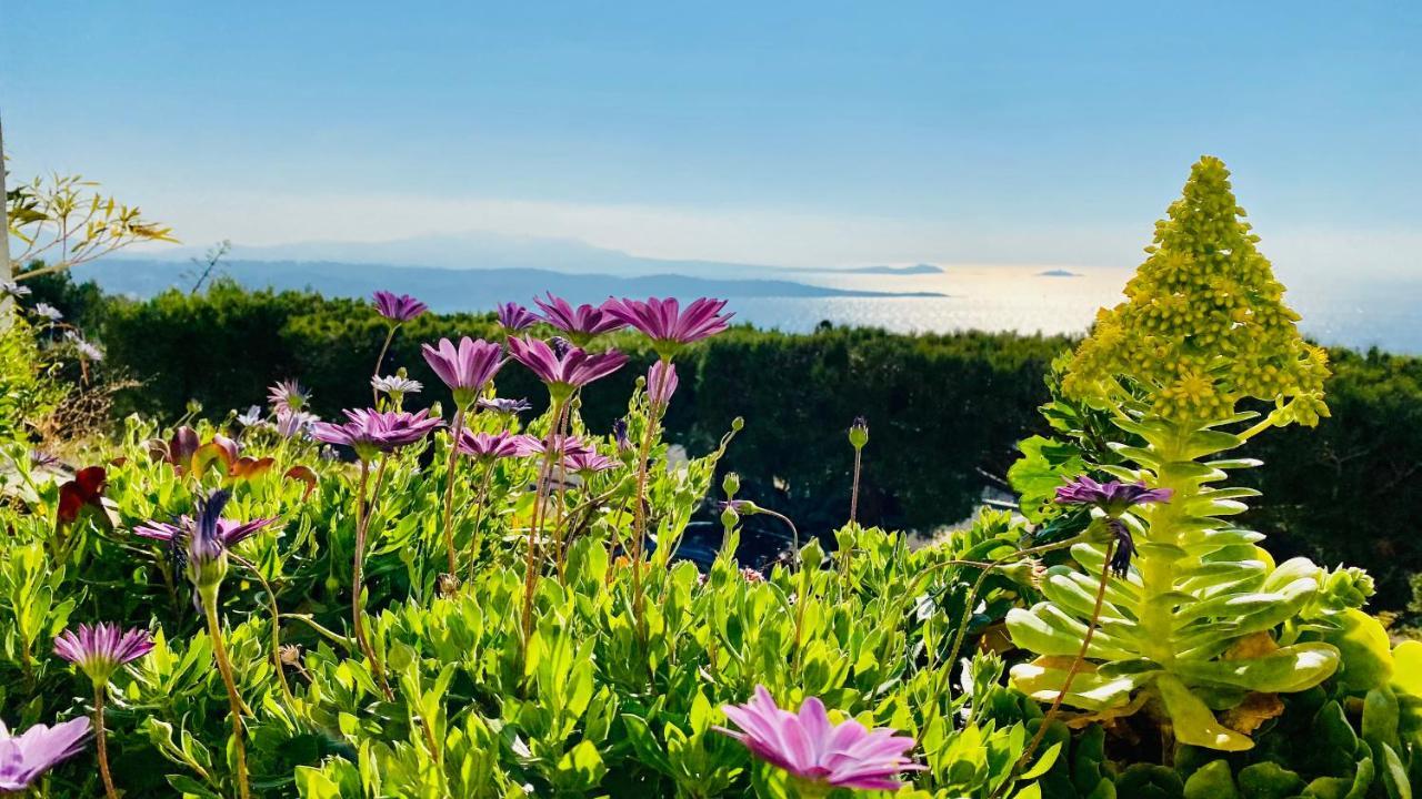 Vue Mer Panoramique Et Piscine Bandol Dış mekan fotoğraf
