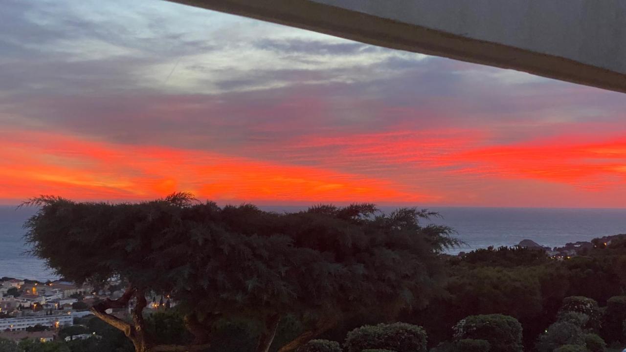 Vue Mer Panoramique Et Piscine Bandol Dış mekan fotoğraf