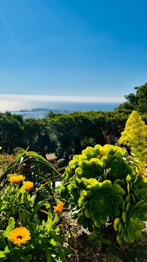 Vue Mer Panoramique Et Piscine Bandol Dış mekan fotoğraf