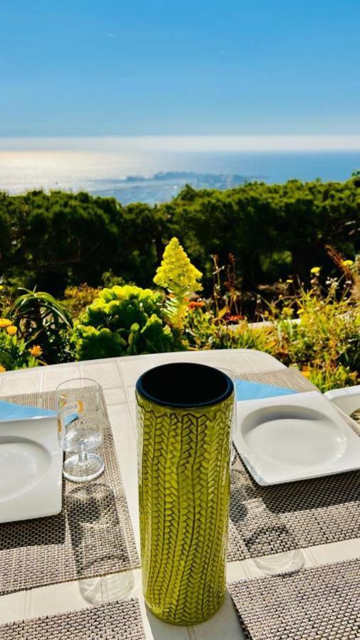 Vue Mer Panoramique Et Piscine Bandol Dış mekan fotoğraf